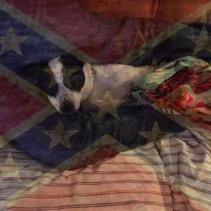 Meet your Posher, Max